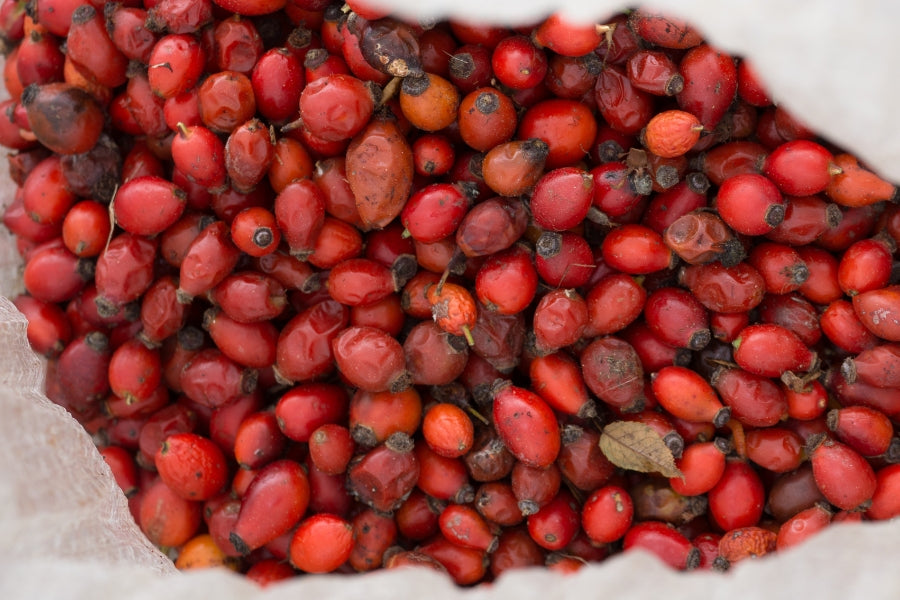 Rosehips