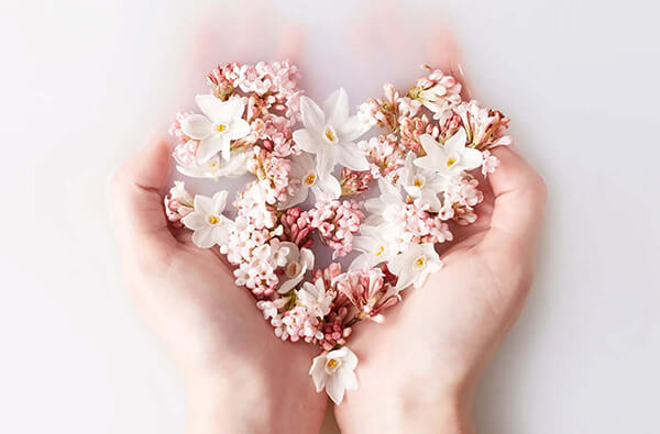 Picture of a woman's hands holding flower petals in a heart shape by Neal's Yard Remedies