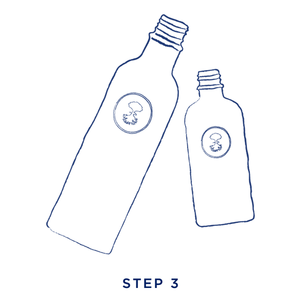 Illustration of two of our blue bottles, step 3 of our sign up to our World of Wellbeing Loyalty program | Neal's Yard Remedies