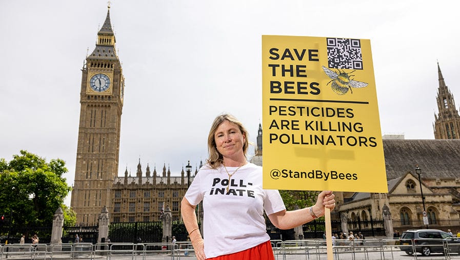 Persistence Prevails: A Landmark Win for Bees