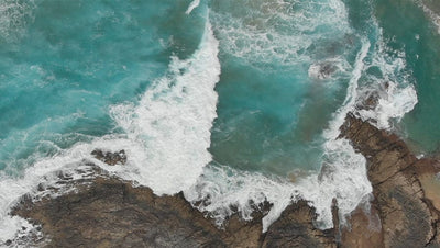 World Oceans Day – Turning tides since 1981