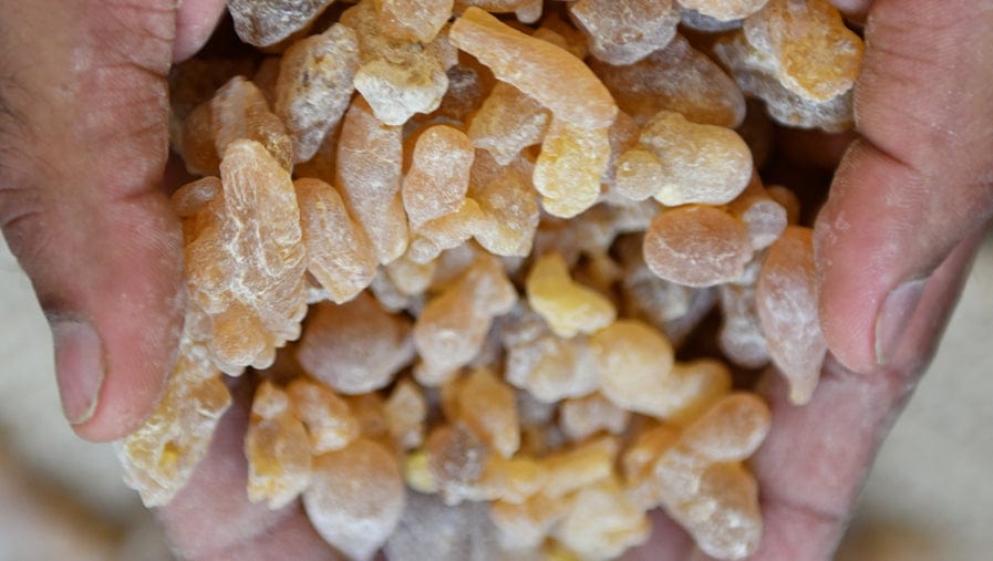 What is Frankincense? Benefits & Uses