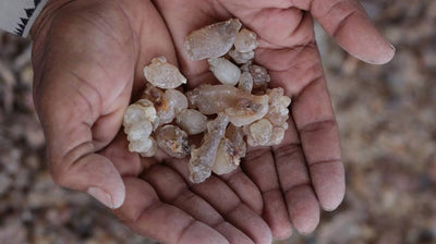 Botanicals, Unearthed: Frankincense