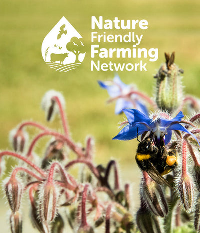 Backing nature this Black Friday: our donation to the Nature Friendly Farming Network