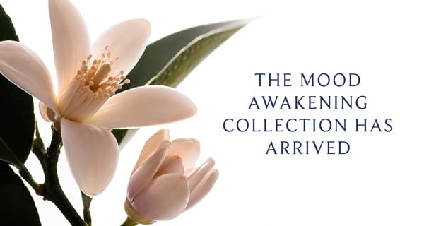 A close-up floral graphic with pale blush flowers and dark green leaves on the left, alongside the text 'THE MOOD AWAKENING COLLECTION HAS ARRIVED' on a white background.