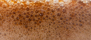 bacillus-ferment-2238x1000.jpg