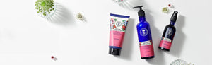 Picture of a selection of the Wild Rose body care range by Neal's Yard Remedies