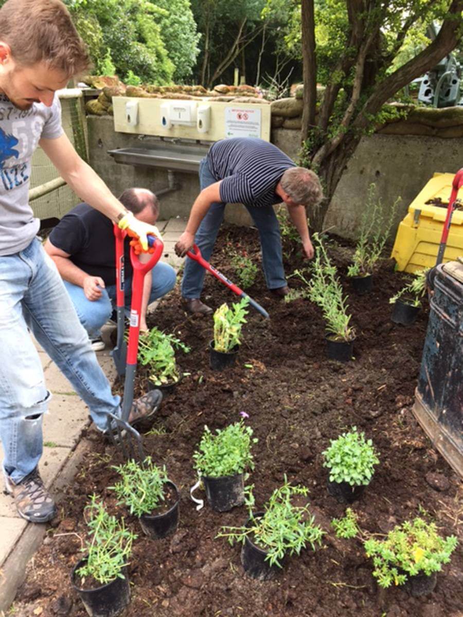 Picture of three men with gardening tools planting
