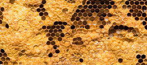 beeswax-2238x1000_92ae197b-a0da-4925-9fc0-90a9184b7f13.jpg