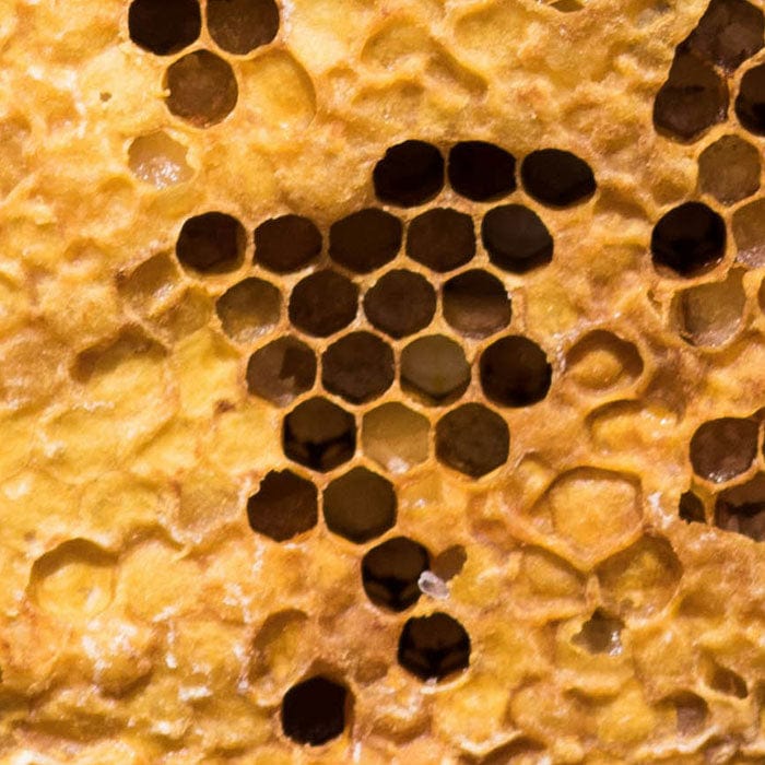 beeswax-700x700_6b0acf8c-3428-4757-82a8-5d9593fadef1.jpg