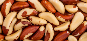 brazil-nut-1920x900_6b8411a4-9550-41b4-bf02-3cfa80e0a967.jpg