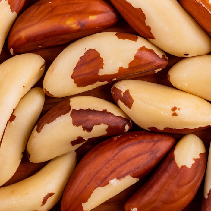 brazil-nut-700x700_3a985ff0-d646-4255-a784-8138ef9c7ab6.jpg