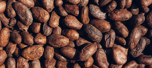 cocoa-butter-2238x1000_52808106-dd0c-4670-98b1-a7c76110aff2.jpg