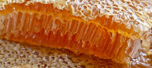 honey-2238x1000_37e0ec94-98cf-4896-88af-6206119ada83.jpg