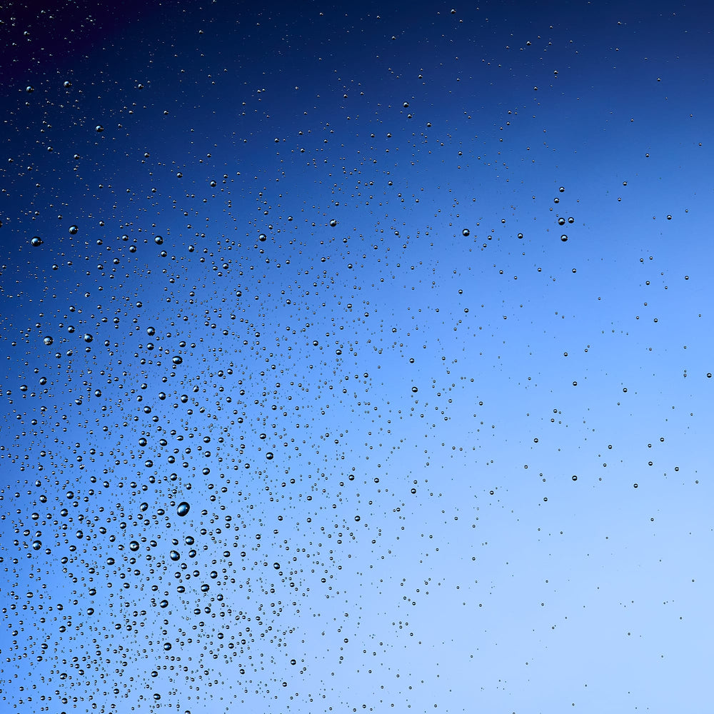 Neal's Yard Remedies Bodycare Wild Rose Dry Body Oil 100ml