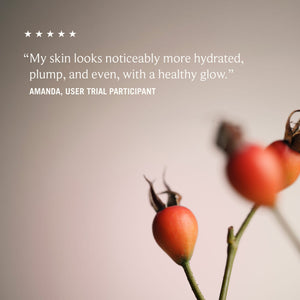 Neal's Yard Remedies Skincare Wild Rosehip Glow Cream 15ml