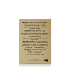 Neal's Yard Remedies Wellbeing Eucalyptus Pastilles 45g
