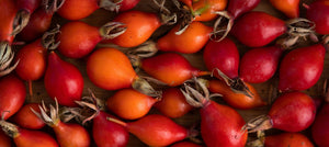 rosehip-2238x1000_98771539-dd18-4d9c-ab6d-159b1497ace3.jpg