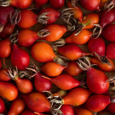 rosehip-700x700_1755da0f-ec3d-46bb-8b24-fe14d38f9f40.jpg