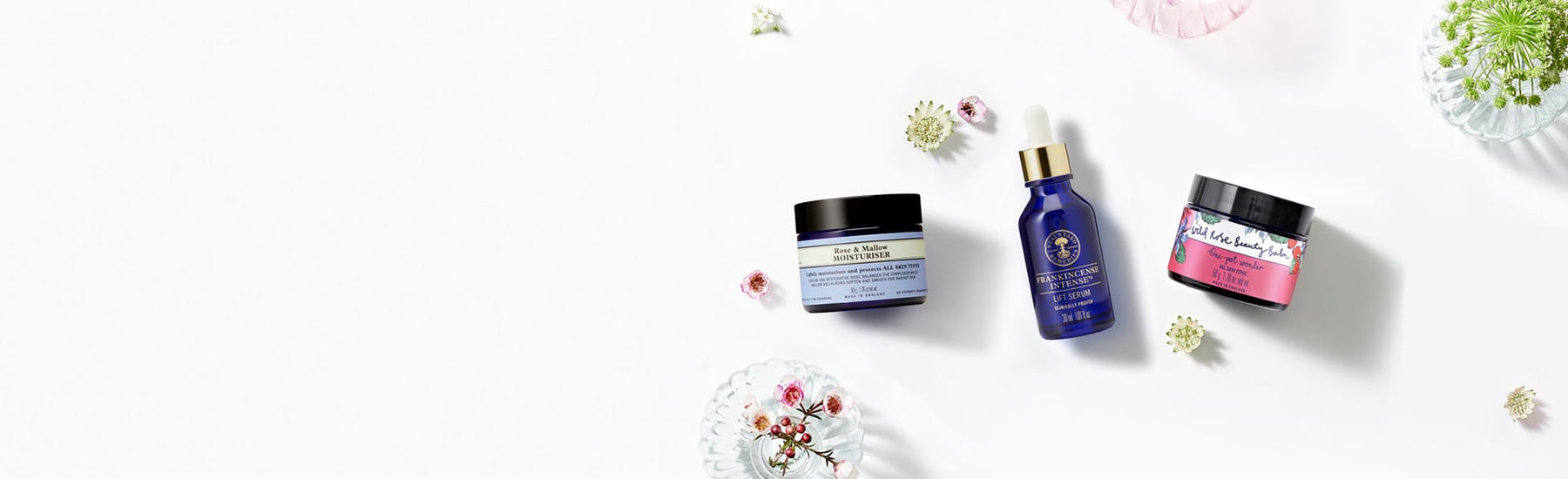 Picture of our products on a background of botanicals
